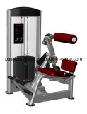 Abdominal & Back Commercial Fitness/Gym Equipment with SGS