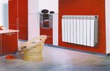 Bimetal Radiator (S8002)