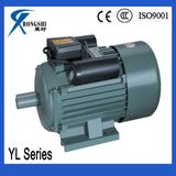 Yl Electric Car Motor 15kw