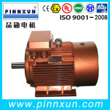GOST Low Voltage Electric Motor