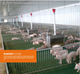 Poultry Nursery System & Pig/Poultry Equipment
