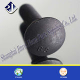 DIN603 Carriage Bolt with Black Surface