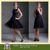 Little Black Lace Dress Zipper Back Evening Prom Dress (DL109)