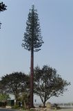 Steel Telecommunication Artificial Tree Bionic Tower