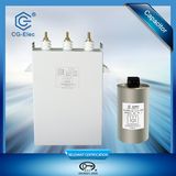 AC Input Capacitor