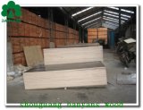 Film Coated Plywood Phenolic Bp Film Faced Plywood with Low Price