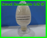 Natural Brassinolide 0.2% SP