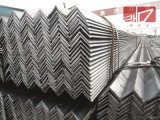 High Quality Galvanized Angle Steel in Building Material
