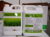 High Effective Herbicide 2, 4-D Amine Salt (720g/L)