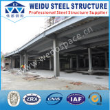 High Quality Steel Warehouse Structure (WD101807)