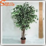 2015 China Supplier Artificial Plastic Indoor Bonsai Plants Tree