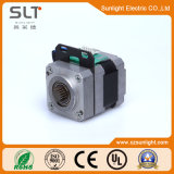 36V Small Electric DC Brushless Motor with Adjust Spped