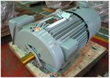 Inverter Duty Motors