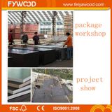 Plywood Board with Film Faced for Hot Sale