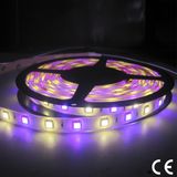 DMX Control RGBW SMD 5050 3528 LED Flexible Strip Light