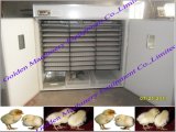 98% Hatching Rate Full Automatic Poultry Chicken Egg Incubator