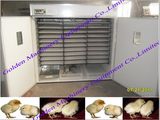 98% Hatching Rate Full Automatic Poultry Chicken Egg Incubator