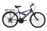 Adult Mountain Bicycle