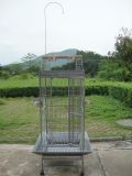 Stable Metal Pet Bird Cage for Pet Product (B4)
