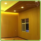 WPC Interior Wall Decoration Panel on Sale. Hot Sales (MW-01)