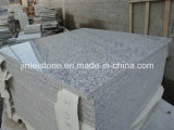 G623 Rosa Beta Granite for Flooring or Wall Panel