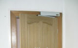 Safety and Low Price Automatic Swing Door (DS-S180)