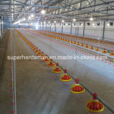 Automatic Poultry Farm with Full Set Equipment