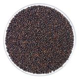 Broomcorn Millet (BLACK, RED, WHITE, YELLOW)