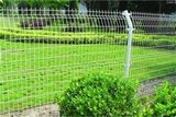 Wire Mesh Fences203