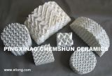 Ceramic Corrugated Packing