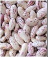 Speckled Kidney Beans (002)