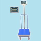 Mobile Weighing Platform Scale (LWS)