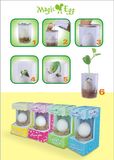 Magic Bean,Magic Egg,Message Bean,Easter color egg