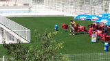 Easy Maintenance Artificial Grass for Roofing (MD300)