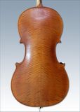 Advanced Cello (AC500)