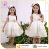 Children Baby Wedding Dress, Party Dress Evening Girl Dress