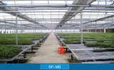 Sp-Ms Movable Seedbed for Horticultural Greenhouse