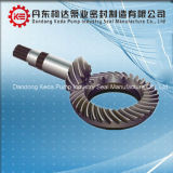 Worm Wheel Gear for Helical Gearbox