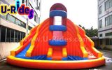 3.5mhigh Double Water Slide