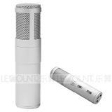 Portable and Smart Mini Echo Reverb Karaoke Microphone for Phone and PC (KR10)
