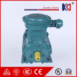 Phase Electric Explosion Proof AC Motor