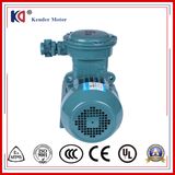 Underground Three Phase Electric Motor