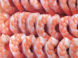 Frozen Cpd Shrimp