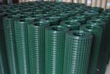 PVC Coated Square Wire Mesh