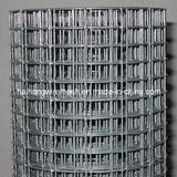 Construction Material/Galvanized Welded Wire Mesh