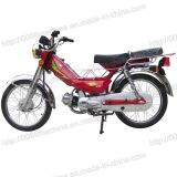 Motorcycle (HL50CUB-1)