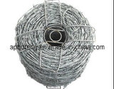 Barbed Wire Mesh (barbed wire)