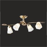 Chandelier Ceiling Lamp Light