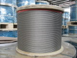 19x7 Stainless Steel Wire Rope (AISI304, 316)