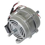 Motor (MG_5467)